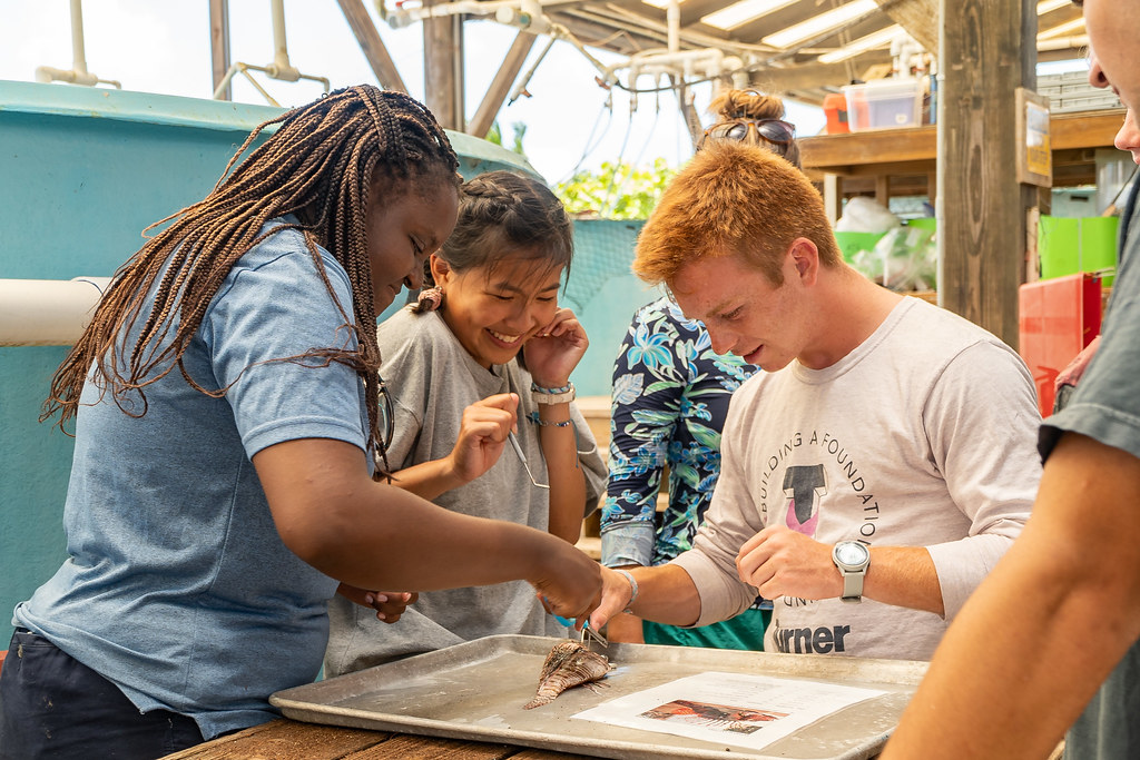 The Island School | Semester Schools Network